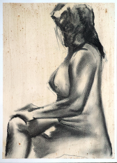 Nude – charcoal by Peter Gulian