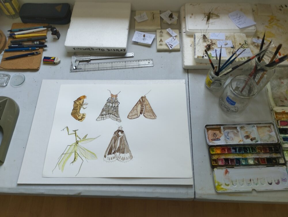 Peter Gulian Painting Sept Bioillustration